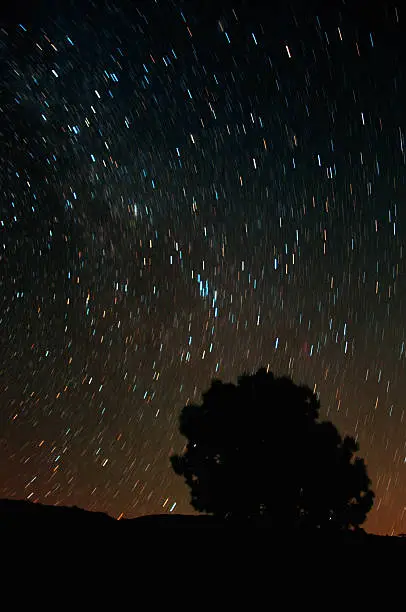 Star trails of the Perseid Meteor shower. Descanso, CA.