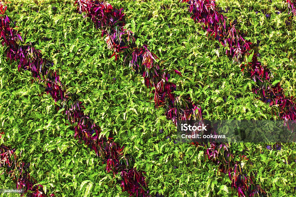 Hojas verdes fondo de pared - Foto de stock de Aire libre libre de derechos