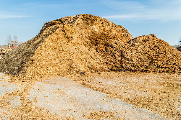 istock Pile of wood chips 468099326