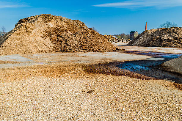 istock Pile of wood chips 468099328