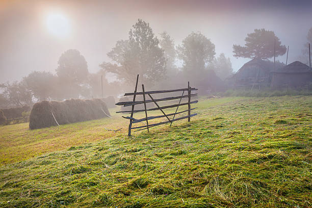 istock Haymaking in a Carpathian village. 468099500