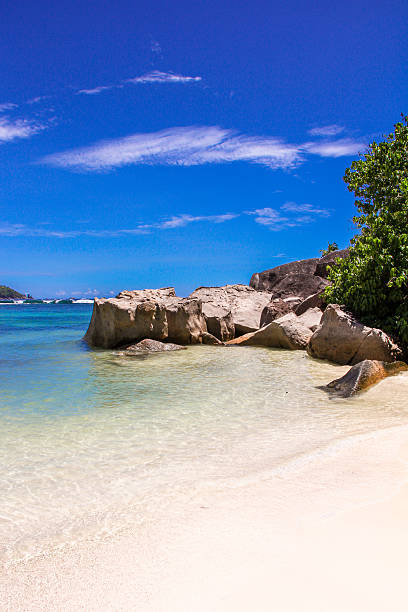 istock Beautiful turquoise exotic lagoon at Seychelles 468100687