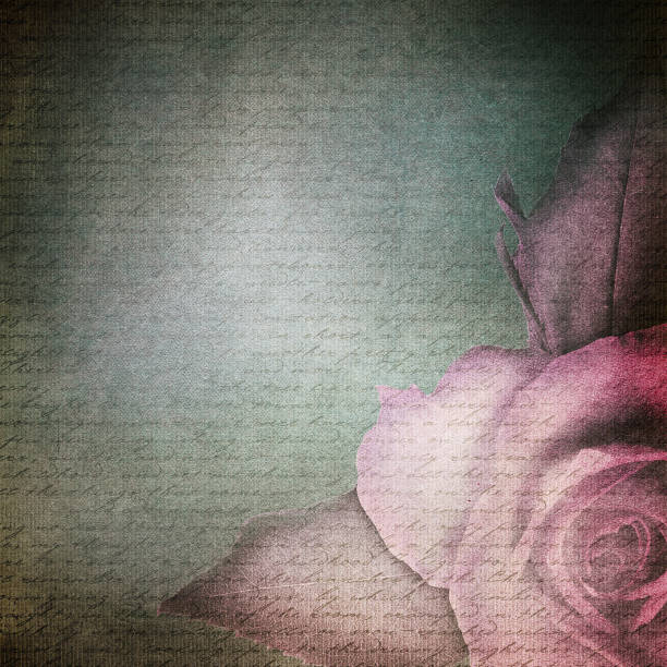 Vintage card with rose.