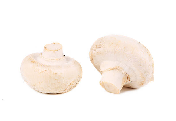 istock White mushrooms close up. 468101529