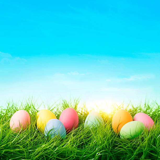 Colorful easter eggs and rabbit Colorful easter eggs on a blue background easter egg photos stock pictures, royalty-free photos & images