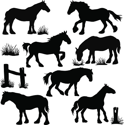 Clydesdale Horse Silhouettes