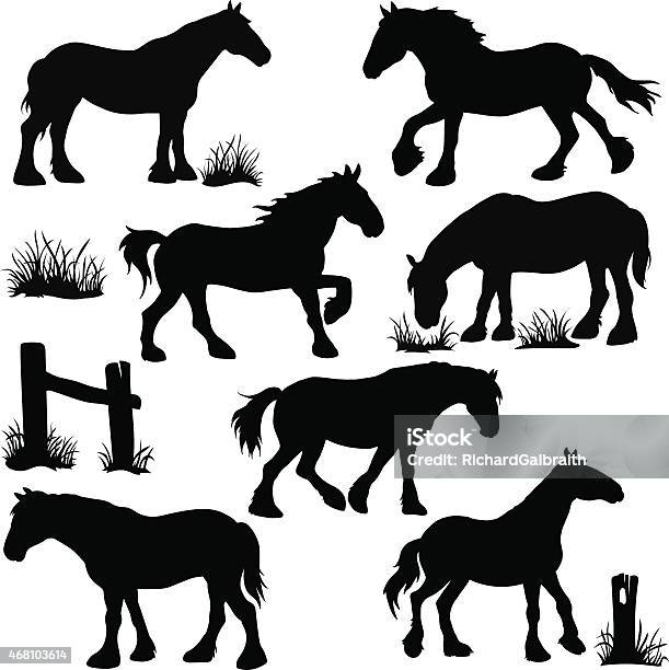 Clydesdale Horse Silhouettes Stock Illustration - Download Image Now - Clydesdale, Shire Horse, In Silhouette