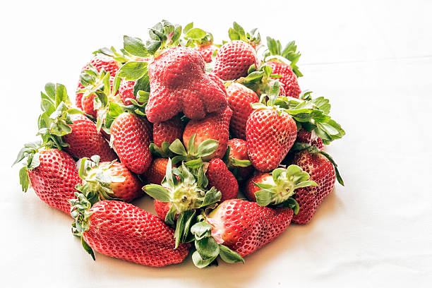 fresh ripe strawberries