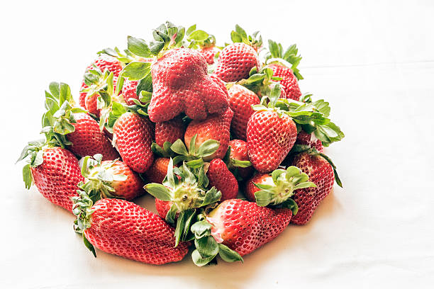 fresh ripe red strawberries