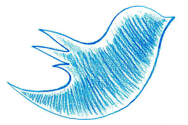 ilustrações, clipart, desenhos animados e ícones de pássaro azul - microblog