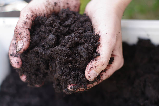 istock Someone holding a handful of dirt while planting seeds 468109443