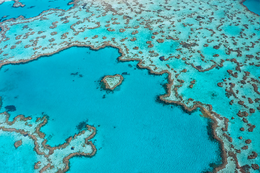 Arrecife corazón en la Gran Barrera de Coral, Whitsundays Queensland photo
