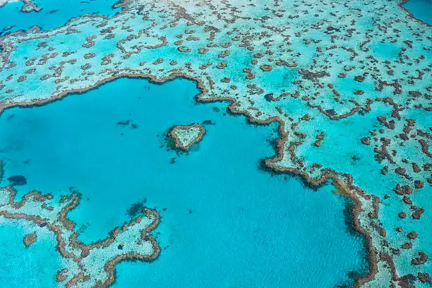 Heart Reef arial shot taken near Whitsunday islands, Queensland. Coral formation in the shape of a heart located  at the great barrier reef.