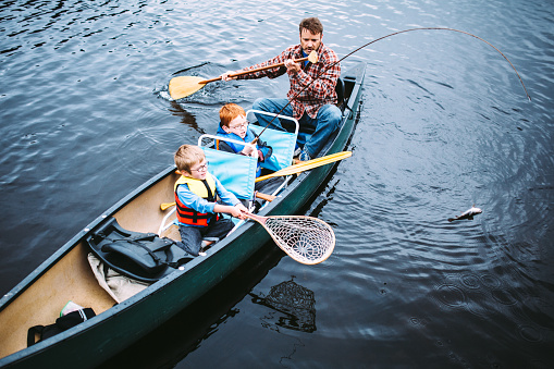 A father takes his two sons on a fly fishing lake trip in the trusty canoe, an exciting adventure of exploration and discovery.  One of the boys has caught a fish and reels it in for his brother to net.  The trout flops in the air as they try and get it in the boat.  High angle view looking down on the scene.  Shot in the beautiful Pacific Northwest at Trillium Lake, Oregon.  Horizontal.
