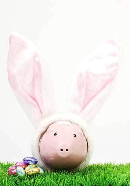 banco piggy rosa com orelhas de coelho branco no prado em fundo branco - wealth eggs animal egg easter egg imagens e fotografias de stock