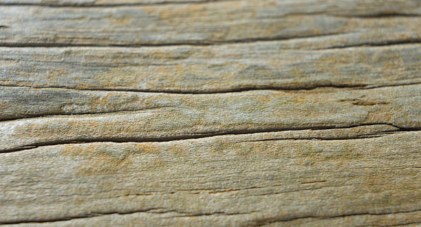 textura de madeira áspera rústica - macro film material rough macro - fotografias e filmes do acervo