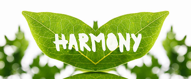 Artistic mirrored symmetrical fresh green leaves with the word - Harmony - painted in white showing the texture and pattern of the veins in an ecological concept