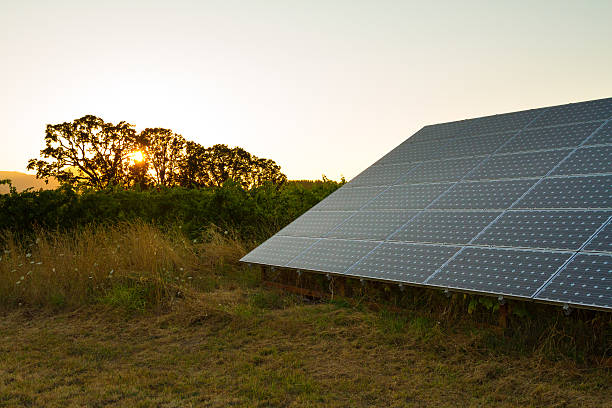 istock Solar Panels for Electricity Power 468119337