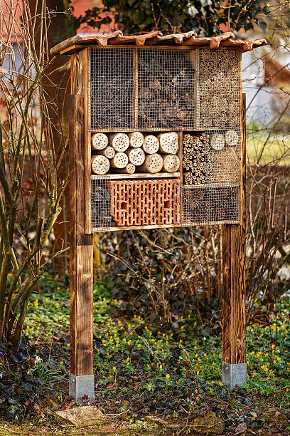 istock Wild Bee Hotel - Insect Hotel 468120934