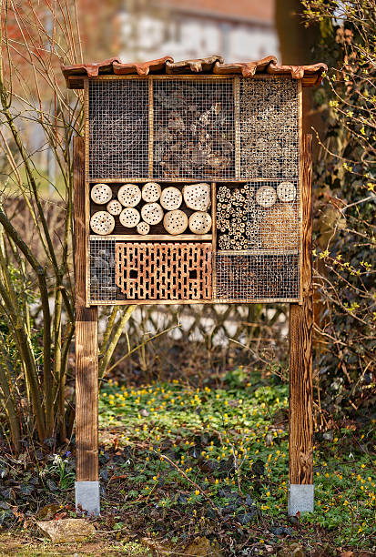 istock Wild Bee Hotel - Insect Hotel 468120936