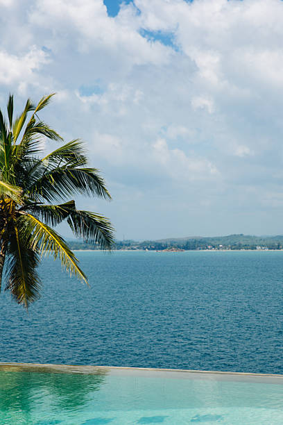 istock swimming pool with a sea view 468121959