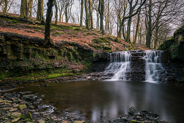 istock Beautiful Waterfall In The Roddlesworth Forest. 468123530