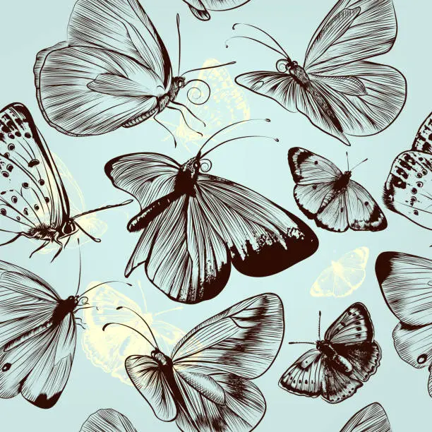 Vector illustration of Butterfly seamless pattern with engraved insects in vintage styl