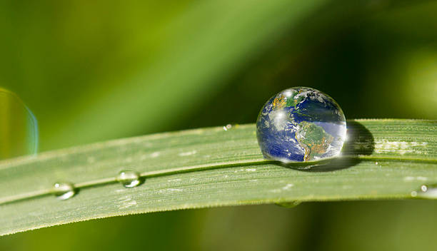 행성입니다 지구별 저수시설 낙차 배너입니다 - raindrop leaf drop water 뉴스 사진 이미지