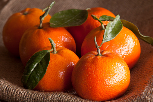 A macro image of a group of mandarins, standing of hessian, lit by natural daylight. 