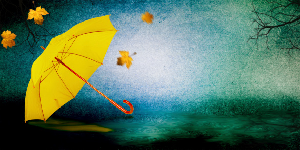 Umbrella on the autumn background.
