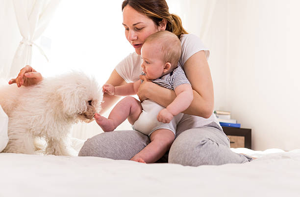 istock Happy family with a dog 468132616