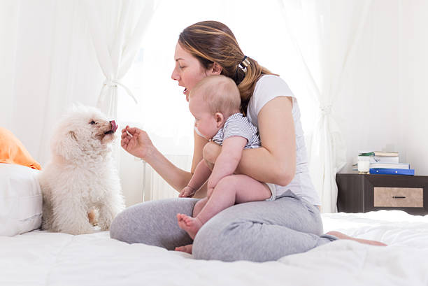istock Happy family with a dog 468132620