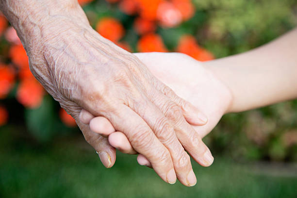 mãos segurando o matulão da vovó - rheumatism arthritis togetherness fingernail imagens e fotografias de stock