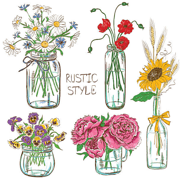 ilustraciones, imágenes clip art, dibujos animados e iconos de stock de juego de mason frascos con flores - herb chamomile flower arrangement flower