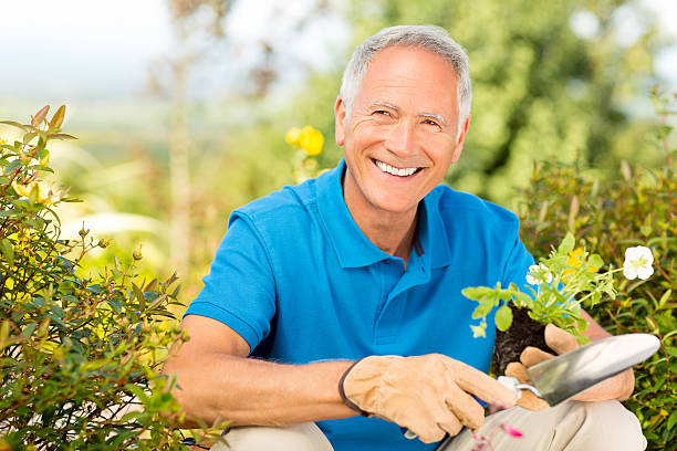 istock Senior Man Holding A Trowel And Sapling In Garden. 468137895