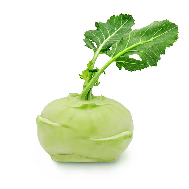 kohlrabi mit blätter auf isoliert weiss backround - turnip leaf vegetable green freshness stock-fotos und bilder