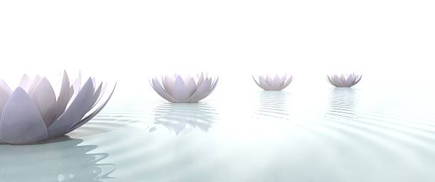 istock Zen lotus flowers draw a path on the water 468140566