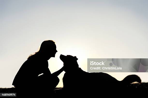 Glückliche Frau Petting Deutscher Schäferhund Hund Silhouette Stockfoto und mehr Bilder von Kontur