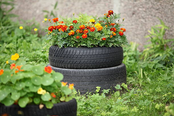 istock floral flowerbed 468148158