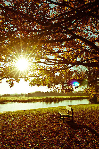 istock Park bench at Huntingdon, Cambridgeshire 468148874