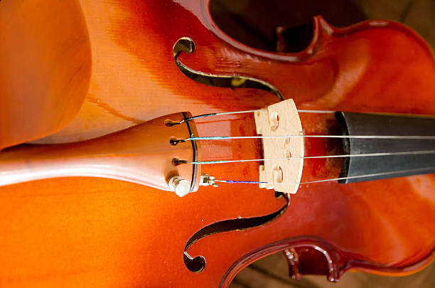 istock Close up shot of violin 468149390