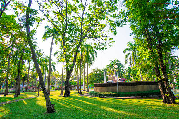 istock Green city park in evening 468149596