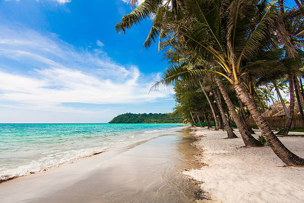 istock tropical beach.  Beach on Ko Kood 468154427