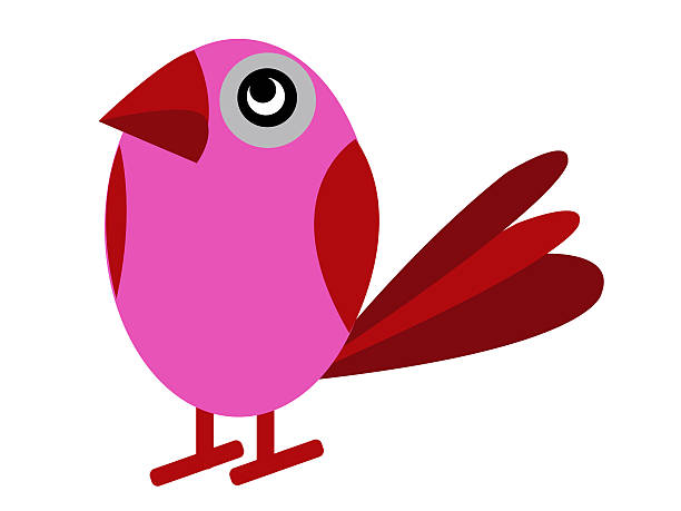 istock Colorful of Bird 468155043