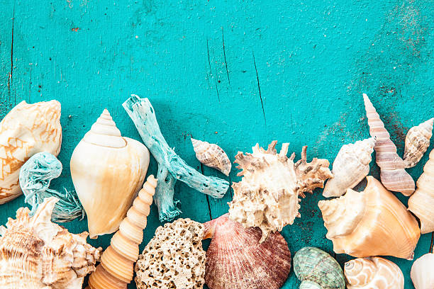 istock Weathered wooden background with sea shells 468157162