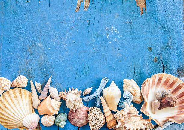 istock Weathered wooden background with sea shells 468157164