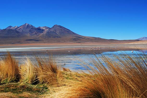 istock Licancabur Volcano reflecting in Laguna Verde 468157680