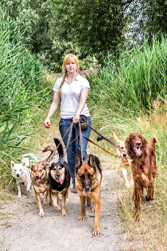 Professional dog walking service of a female service provider