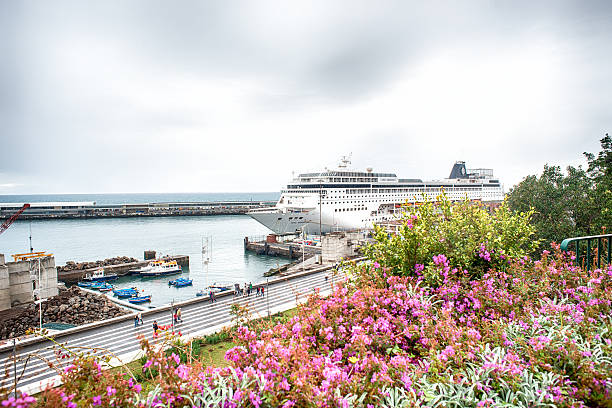 Funchal, Portugal- January 8, 2014: The cruiser ship MSC Armonia at the harbor of Funchal, Madeira. The cruiser was built in 2001 for Festival Cruises and since 2004 it is owned and operated by MSC Cruises .  There can accommodate 2065 passengers and 760 crew people . In front some people are walking at the promenade of harbor.