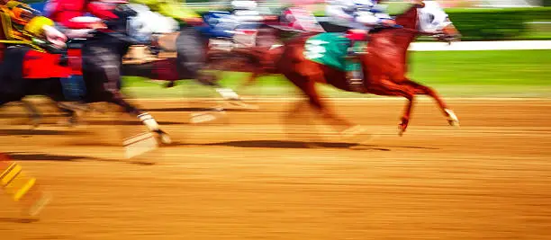 horse racing motion blur panning